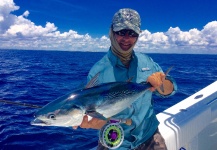 Fly-fishing Image of False Albacore - Little Tunny shared by John Kelly – Fly dreamers