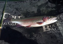 Joe Crowell 's Fly-fishing Image of a Rainbow trout – Fly dreamers 