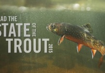 State of the Trout 2015