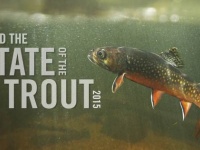 TU State of the Trout 2015