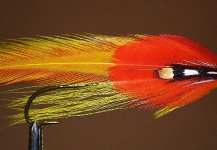 Fly-tying for Landlocked Salmon -  Image shared by Ariel Garcia Monteavaro – Fly dreamers