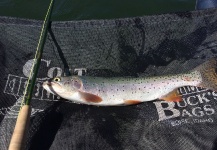 Joe Crowell 's Fly-fishing Image of a Cutthroat – Fly dreamers 