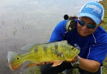 Hai Truong 's Fly-fishing Image of a Peacock Bass – Fly dreamers 