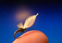 Carlos Estrada 's Fly for Rainbow trout - Pic – Fly dreamers 