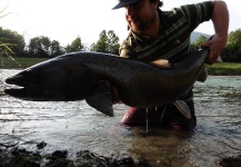 Fly-fishing Picture of Danube Salmon - Hucho Hucho shared by Nicholas Ferentzi – Fly dreamers