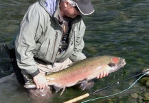 Fly-fishing Picture of Steelhead shared by Jeff Layton – Fly dreamers