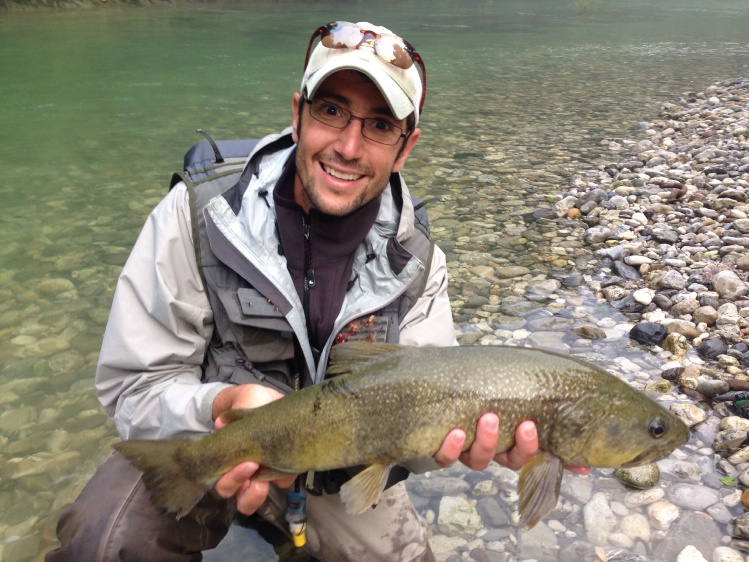 Grand slam done!!! After the born of my baby, finally I got a fly fishing week end, very good result with a grand slam made of: marble trout - grayling - brown - hybrid and rainbow, all of them in a very good size and only with dries, including this wonde