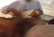  Fotografía de Pesca con Mosca de Aspio por Henrik Megyer – Fly dreamers