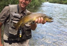 Fly-fishing Photo of Brown trout shared by Giampiero Patrizi – Fly dreamers 