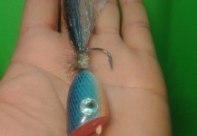 Fly-tying for Barracuda -  Image shared by Carlos Benarducci – Fly dreamers