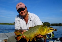 Cool Fly-fishing Situation of Golden Dorado - Image shared by Alejandro Ballve – Fly dreamers