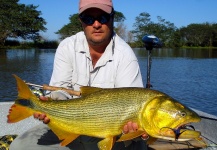 Interesting Fly-fishing Situation of Golden Dorado - Photo shared by Alejandro Ballve – Fly dreamers 