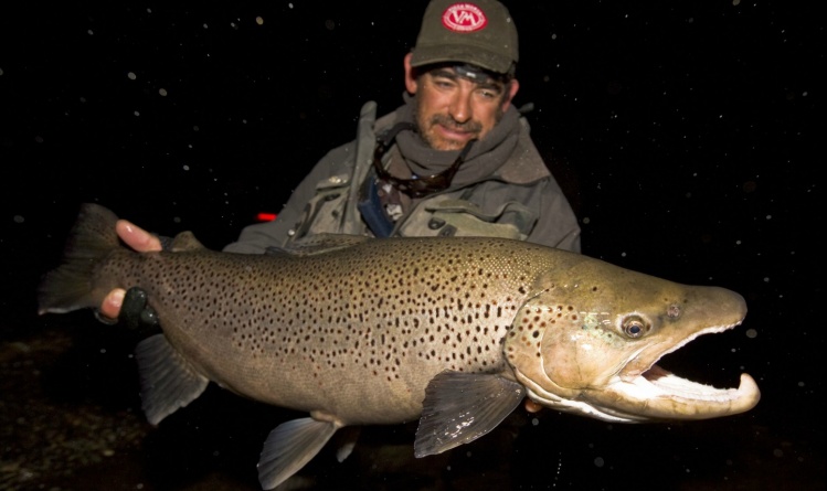 Matt Harris - one of the world's leading fly fishing photographers - has visited the Tierra Del Fuego. Here's his article from there: <a href="http://www.fin-chasers.com/#54">http://www.fin-chasers.com/#54</a>