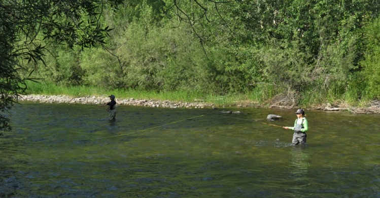 Fishing Report: Silver Creek, Big Wood River, Big Lost River, South Fork  Boise River by Silver Creek Outfitters