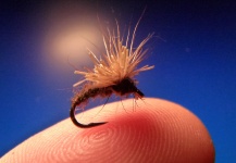 Carlos Estrada 's Fly-tying for Rainbow trout - Photo – Fly dreamers 