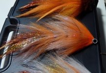 Dominic Petruzzi 's Fly for Muskie - – Fly dreamers 