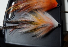 Fly for Muskie shared by Dominic Petruzzi – Fly dreamers 