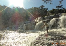 Nice Fly-fishing Situation of Mojarra shared by André Vergara 