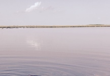  Fotografía de Pesca con Mosca de Redfish por Michael Leishman – Fly dreamers 