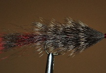 Ariel Garcia Monteavaro 's Fly-tying for Rainbow trout - Pic – Fly dreamers 
