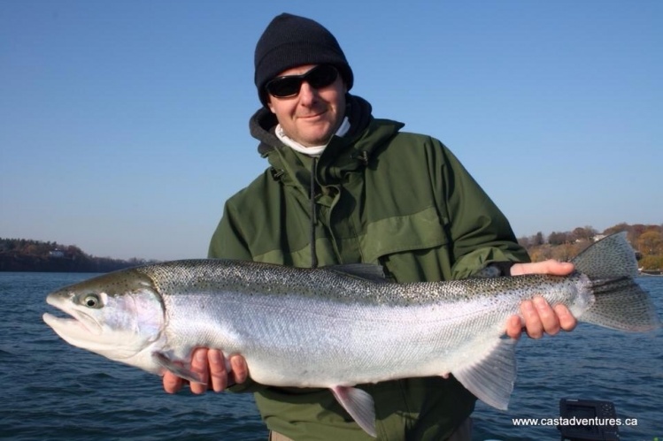 Niagara river steel