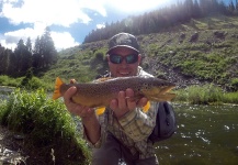 Fly-fishing Pic of brown trout shared by Eric Stollar – Fly dreamers 