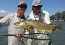 Ryan Breault 's Fly-fishing Photo of a Brown trout – Fly dreamers 