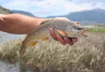 Southern Colorado