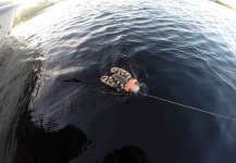  Genial Situación de Pesca con Mosca de Dorado – Fotografía por Justo Sanchez Elia en Fly dreamers