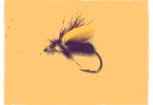  Mira esta Genial foto de atado de moscas de Nacho Renard
