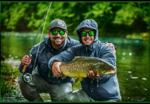 Fly-fishing Pic of Brown trout shared by Alexander Lexén – Fly dreamers 