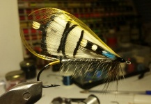 Ignacio Silva 's Fly for Atlantic salmon -  Photo – Fly dreamers 