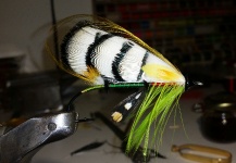 Ignacio Silva 's Fly for Atlantic salmon -  Photo – Fly dreamers 