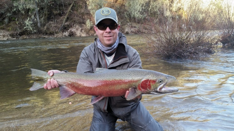 Steelhead Spring 2015 - First fish of the trip.