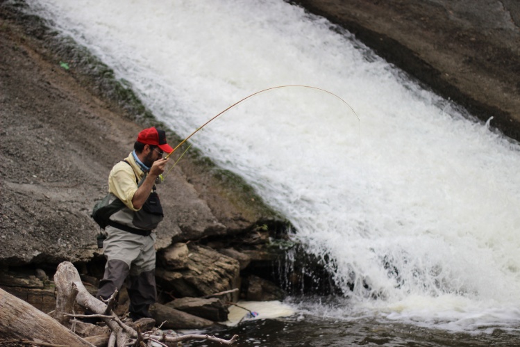 Fishing a spillway in the middle of a city of 3 million people. No need to buy plane tickets to flyfish.