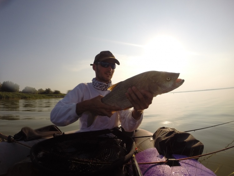 First cast and first strip :) Aspius aspius on 7wt.