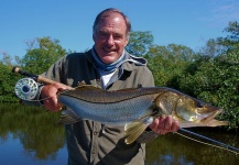 Ned Small 's Fly-fishing Picture of a Snook - Robalo – Fly dreamers 