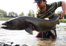 Nicholas Ferentzi 's Fly-fishing Picture of a Danube Salmon - Hucho Hucho – Fly dreamers 