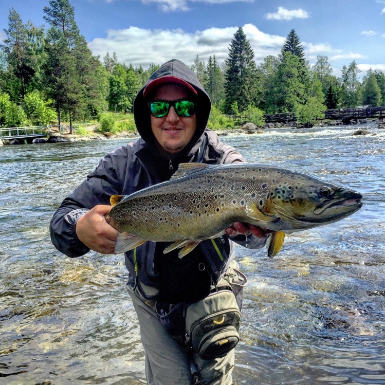 Browntrout 73cm