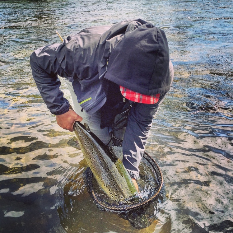 I caught my biggest brown trout in Sweden yesterday on a nymph. 73cm and 4,5kg