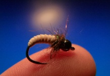 Carlos Estrada 's Fly-tying for Rainbow trout - Image – Fly dreamers 