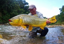 Dario Arrieta 's Fly-fishing Photo of a Golden Dorado – Fly dreamers 