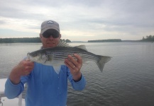 Fly-fishing Photo of Striper shared by Chris Andersen – Fly dreamers 