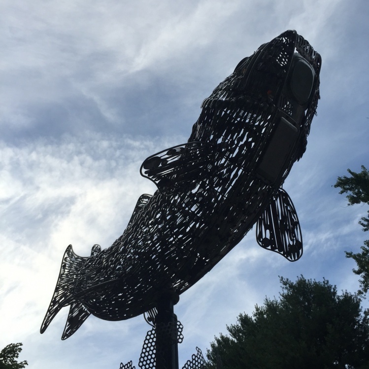 "Brookie" welcomes visitors to our hometown of Greenfield, MA, and honors both our native trout and the town's heritage of cutlery manufacture. Check out those fins!