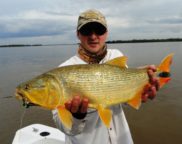 Dorado con mosca en Corrientes