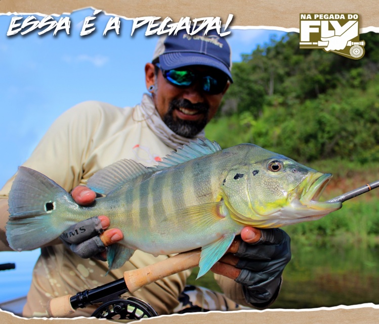 ESSA É A PEGADA
Pescando tucunarés-azuis no Lago Serra da Mesa, no Goias. A fotografia é especial para os os amigos do FlyDreamers.