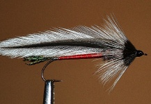 Fly for Rainbow trout - Photo by Ariel Garcia Monteavaro – Fly dreamers 