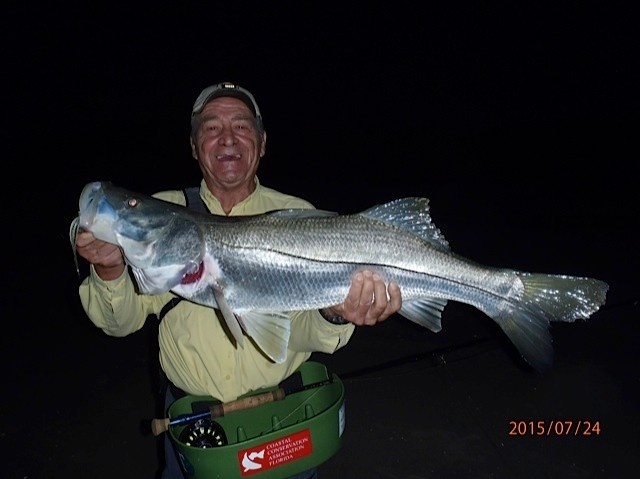 Summer snook rolling on! Johnnies scores! 36-37" ...great fight ...right after take went completely airborne(unusual for a fish this size) thought he had a tarpon on.