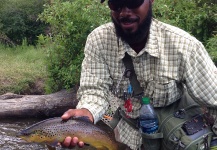Fly-fishing Image of Brown trout shared by Scenic Rivers Fly Fishing – Fly dreamers