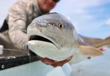 Hai Truong 's Fly-fishing Photo of a Redfish – Fly dreamers 